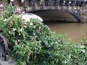 Hochwasser (319)